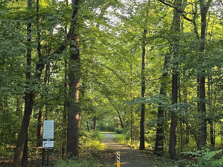 Biking Paths in the neighborhood