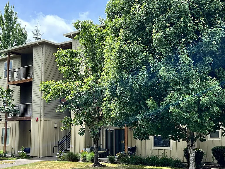 Catron Apartments - 1-3 Bedrooms 2 Bathrooms with In Unit Washer/Dryer and Internet — Photo 16