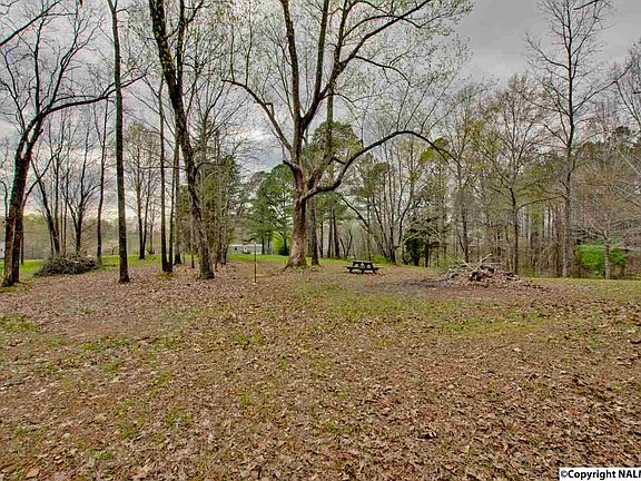 5th image of 990 County Road 110