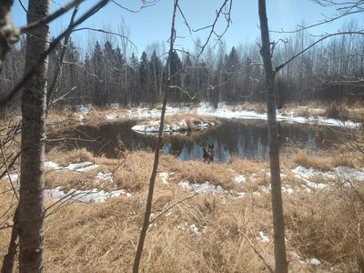 Tranquility Dr, Laporte, MN, 56461