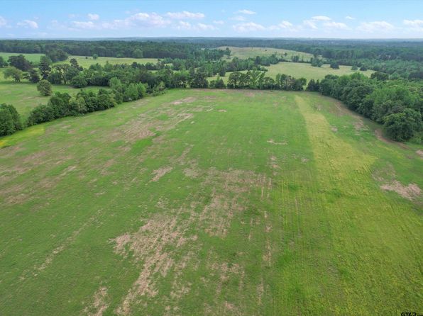 Hyena Rd, Gilmer, TX 75644