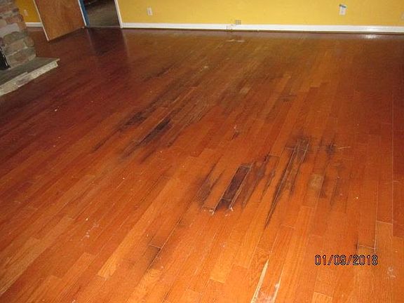 3rd image of 109 Benefield Dr