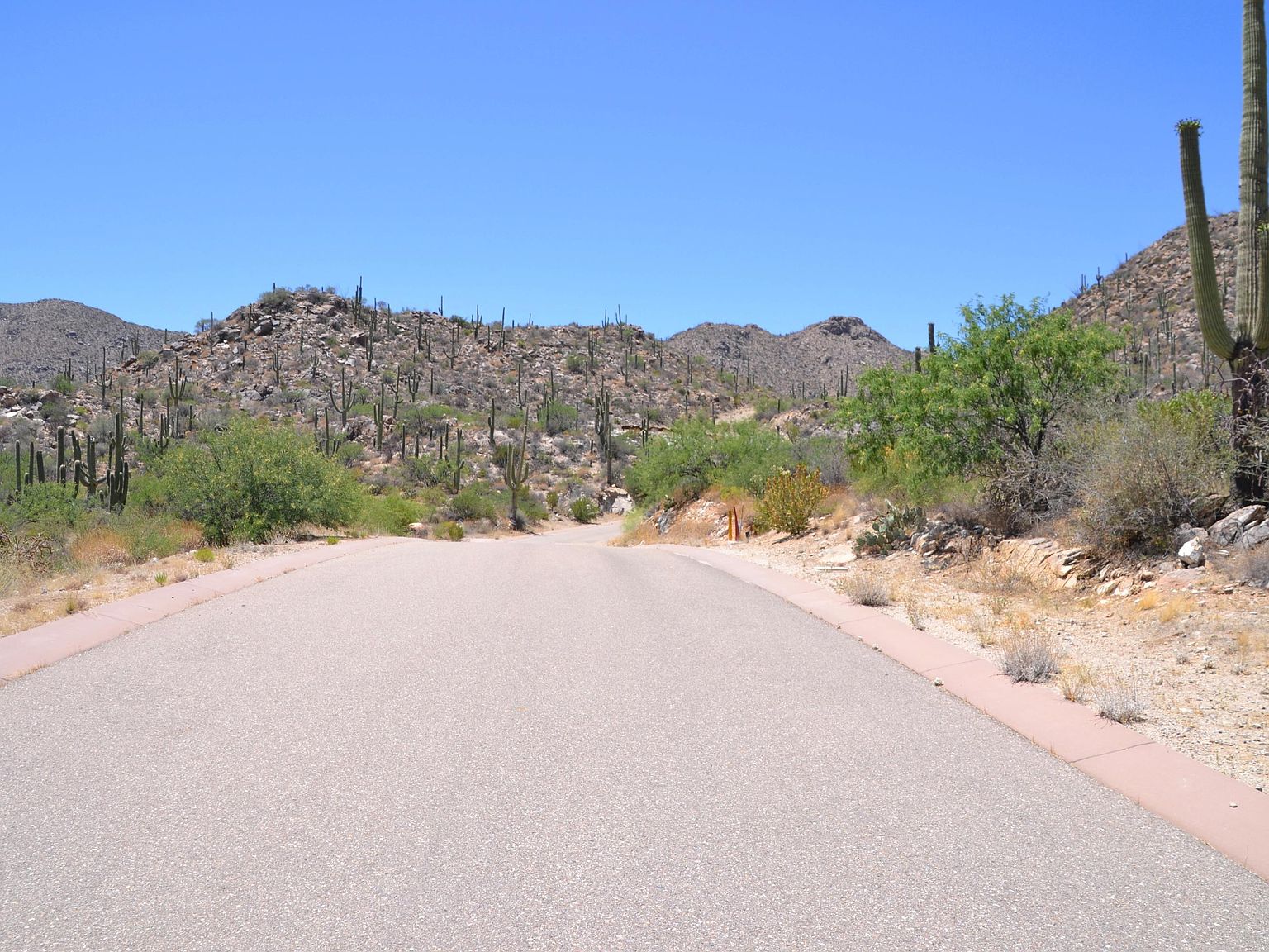 15251 N Dove Canyon Pass, Marana, AZ 85658 Zillow