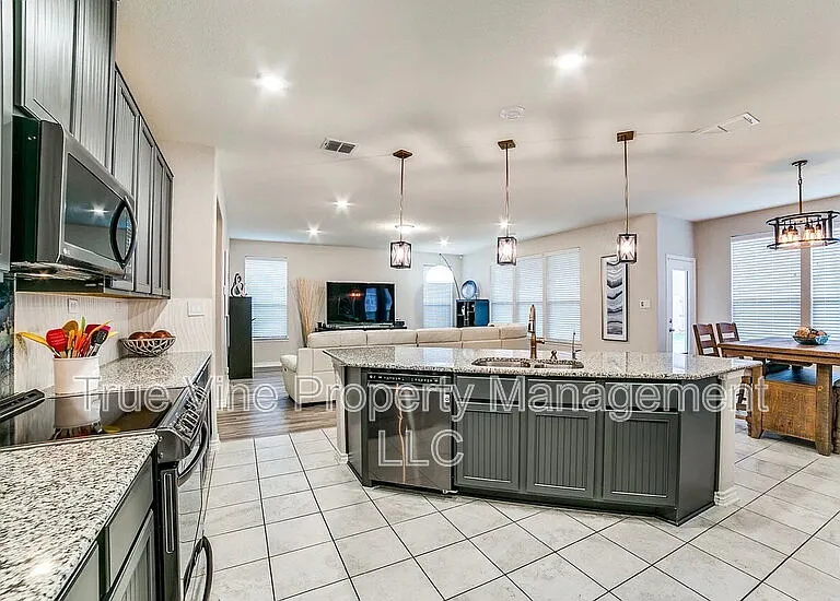11428 Jubilance Path — Photo 2