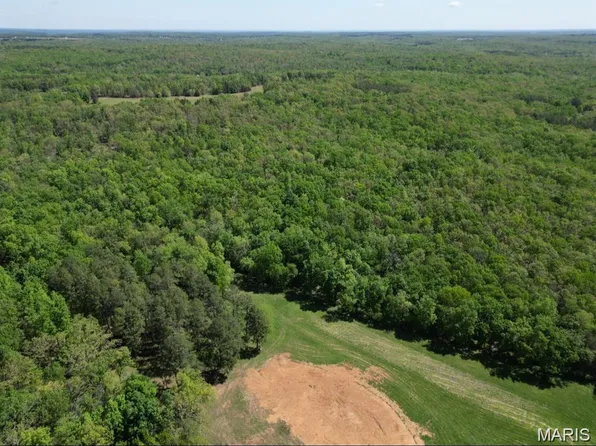 9207 Old Jackson Rd, Fredericktown, MO 63645