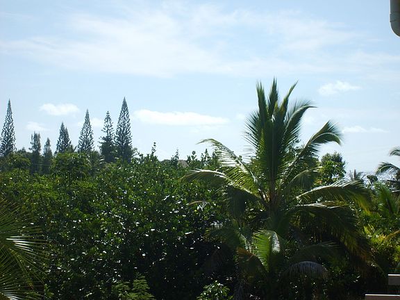 OCEAN VIEW FROM BACK LANAI