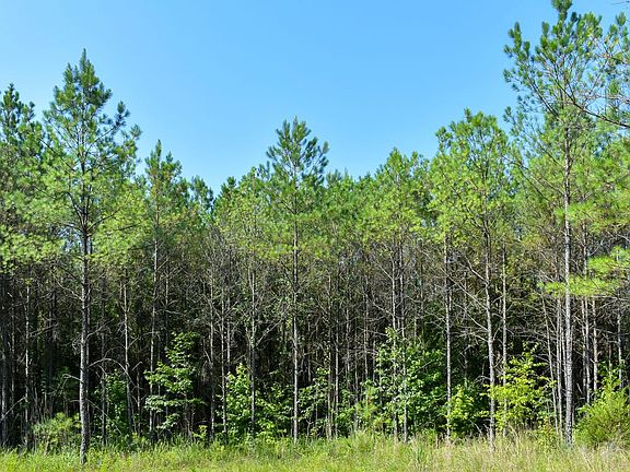 Compass South Land Sales Alabama Highway 122 02