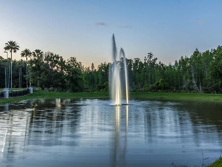 The Oasis at Highwoods Preserve — Photo 14