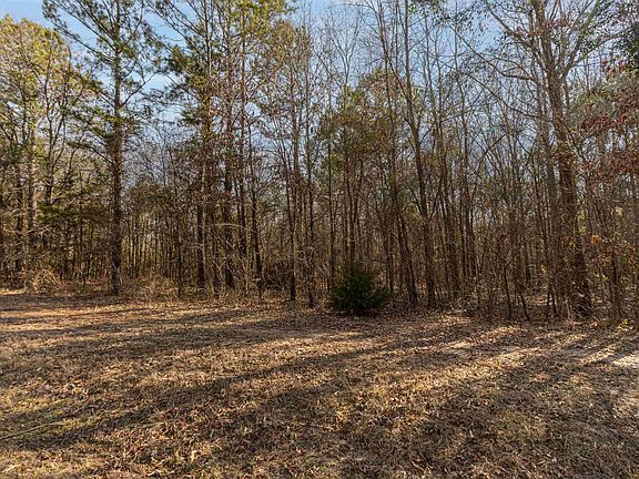 2nd image of 16682 County Road 367