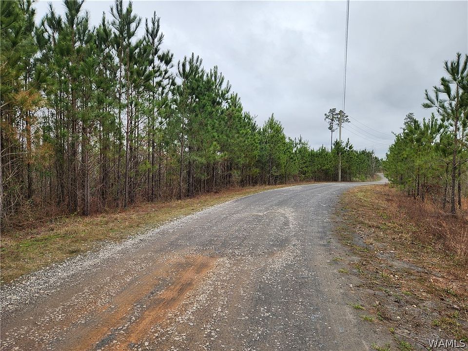 2nd image of 5 Milldale Rd
