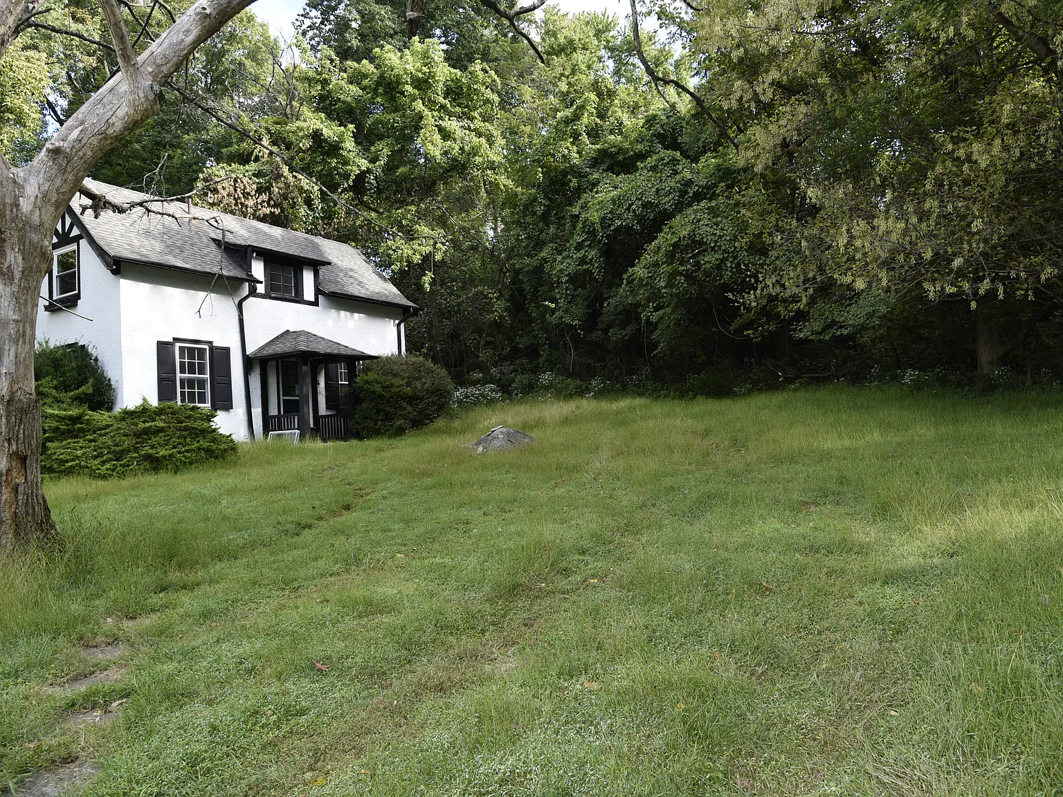 3 bed, 1110 sqft, $3,500 — Photo 3