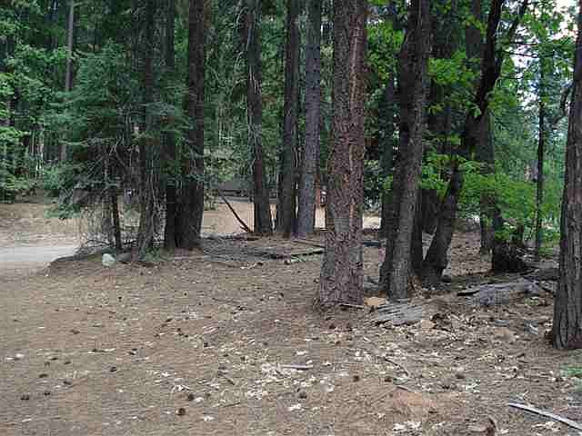 2nd image of 2400 Shooting Star Ln