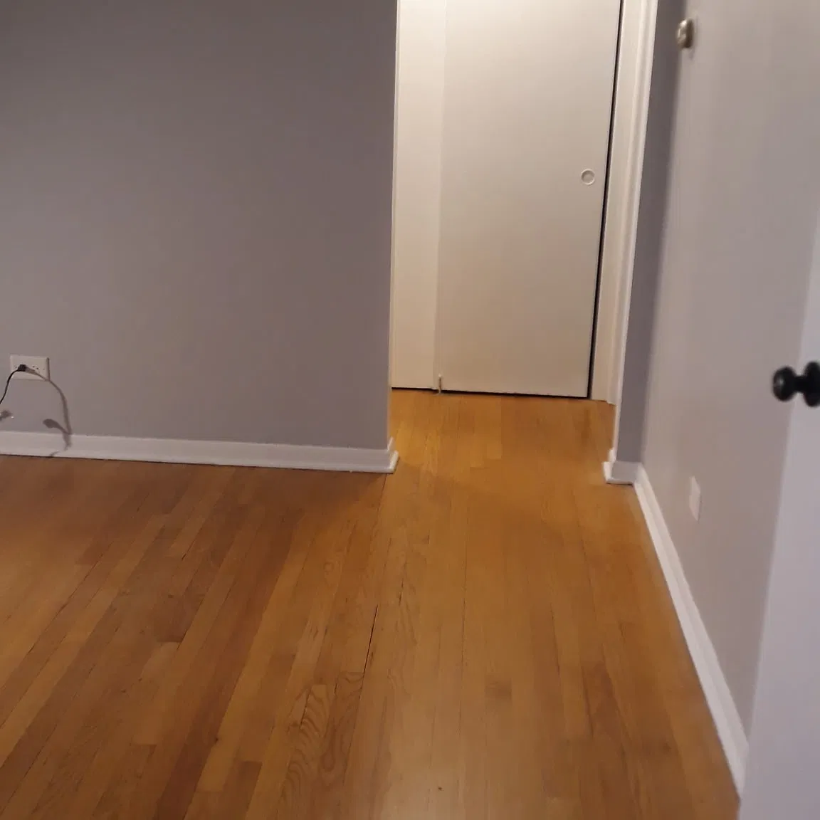 1 bed, 800 sqft, $1,400 — Photo 2