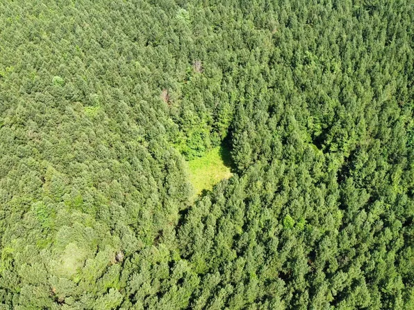 Rose Rd, Hickory, MS 39332