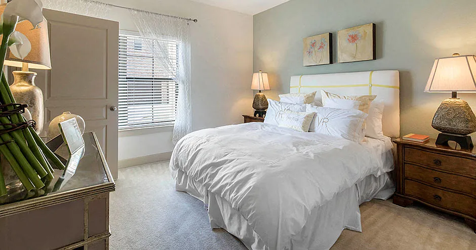 Estates at Vista Ridge Apartments — Photo 2