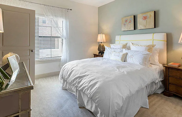 Estates at Vista Ridge Apartments — Photo 15
