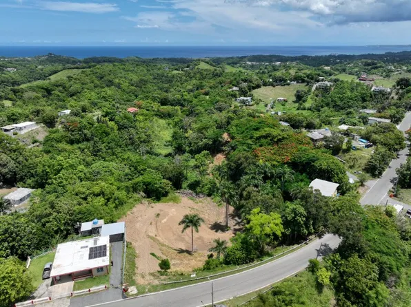 Bo Rio Grande Carr 414 Km #2.0, Rincon, PR 00677