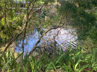 24845 NE 135th Ln, Salt Springs, FL 32134