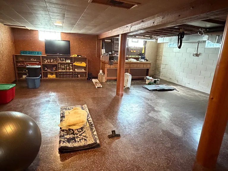 Basement view 1
