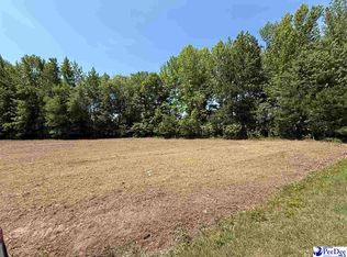 LOT 2 Lenson Mangum Rd, Pageland, SC 29728