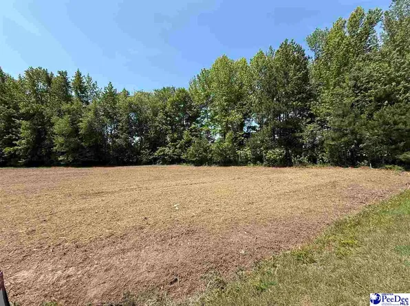 LOT 2 Lenson Mangum Rd, Pageland, SC 29728