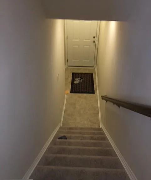 856 Nancy Lynn Ln — Photo 19