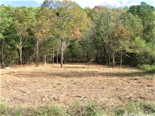 0 Long Branch Ln #272, Bee Branch, AR 72013