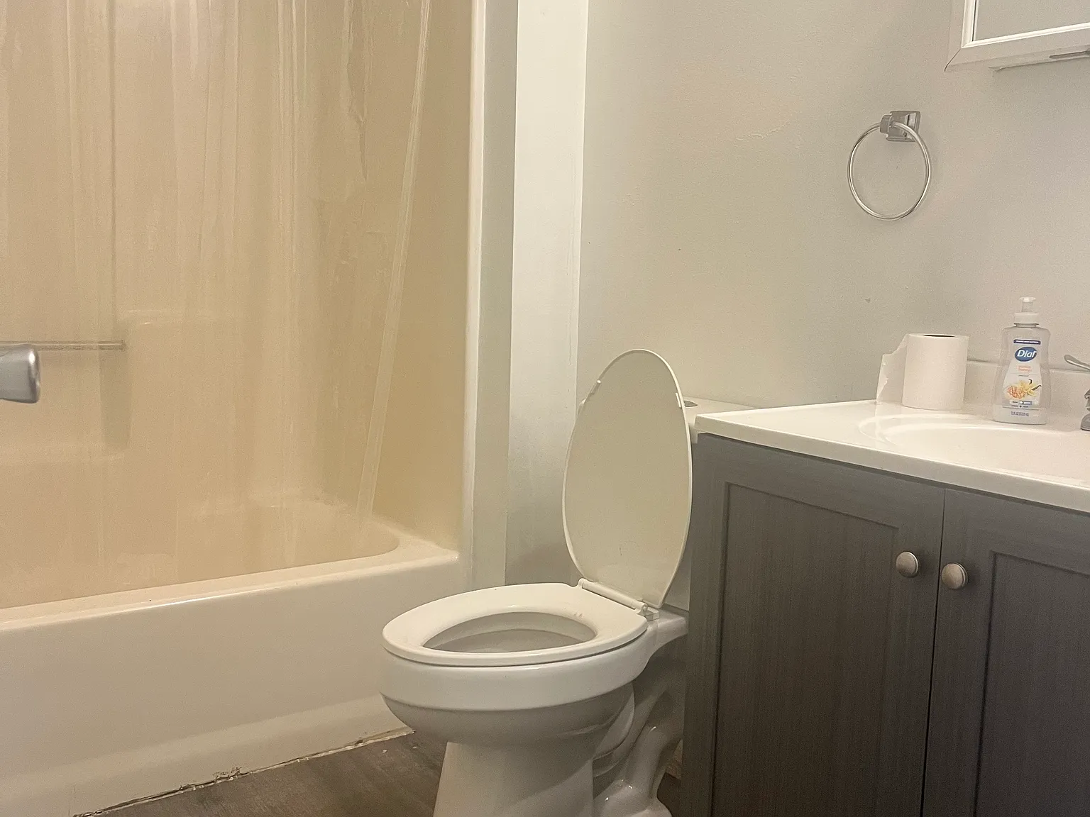 1 bed, 450 sqft, $600 — Photo 2