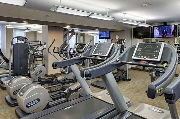 Rented by The Monterey | media 22