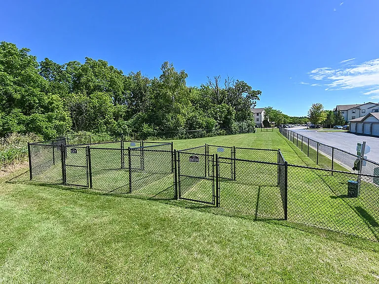Dog Park