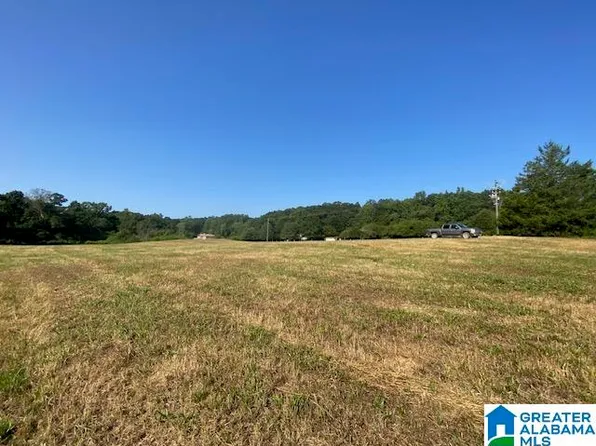 1000 Mount Moriah Rd Tract 1-1.38, Pell City, AL 35125