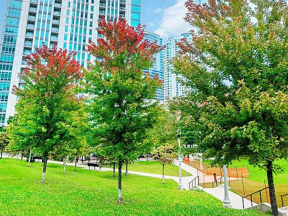Park near Alta