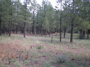 1706 Valley View Dr, Happy Jack, AZ 86024
