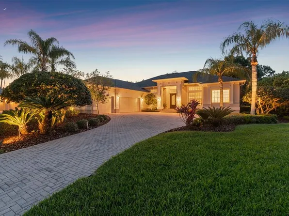 10526 Bermuda Isle Dr, Tampa, FL 33647
