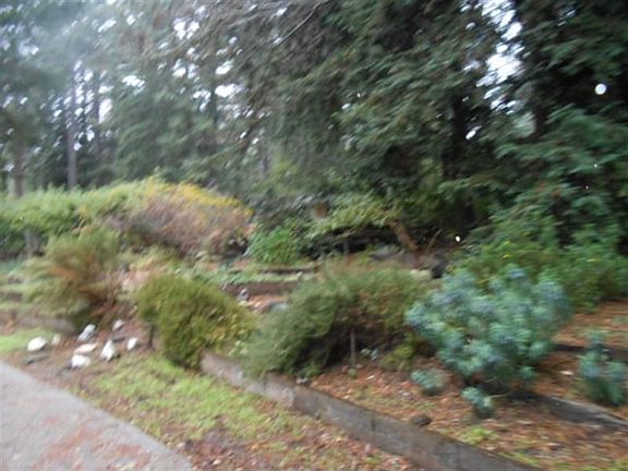 2nd image of 405 Vick Dr