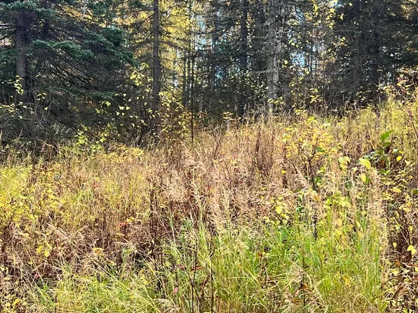 2432 N Barnacle Dr, Wasilla, AK 99623