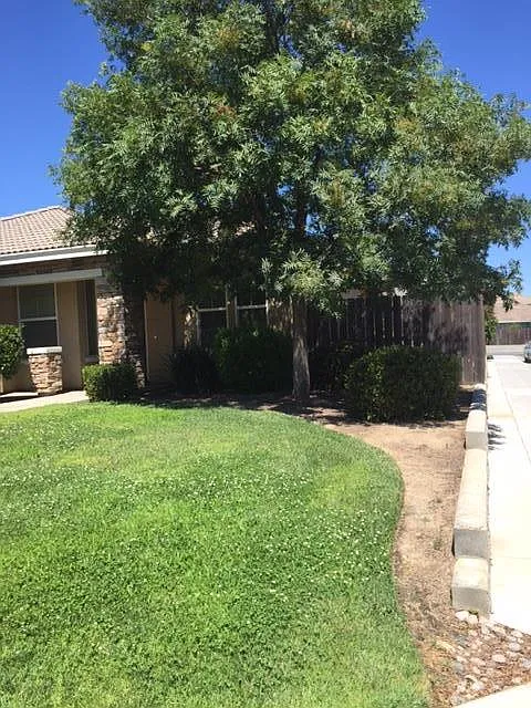 2044 Lemon Ave photo 1