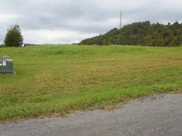 9 Ridge Dr, Lebanon, VA 24266