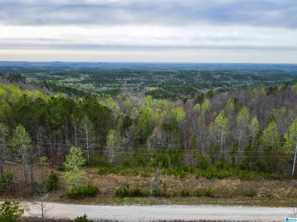 0 Skyway Mtwy, Lineville, AL 36266