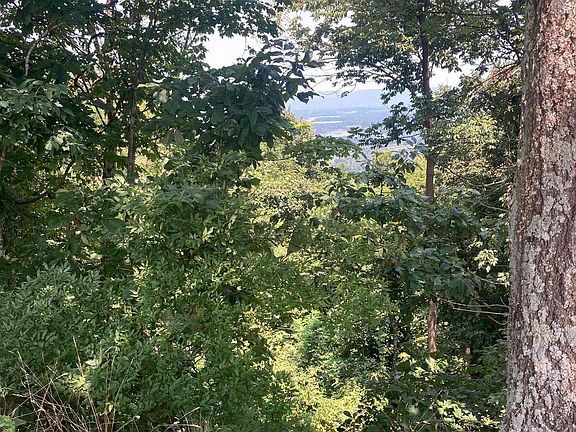 4th image of 345 County Road 367