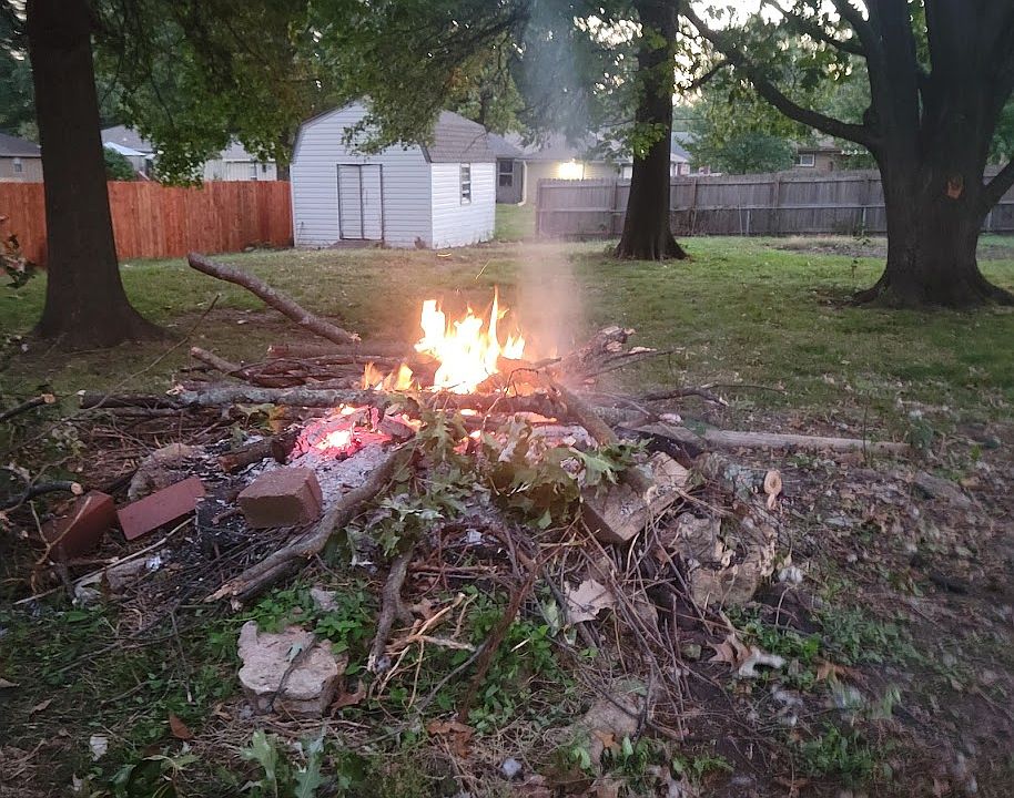 back yard off patio
