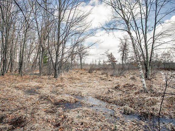 5th image of Lake St