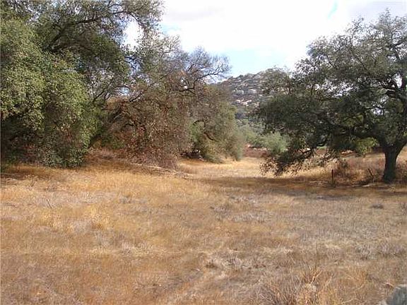2nd image of 40.59 Acres Mother Grundy Truck Tr