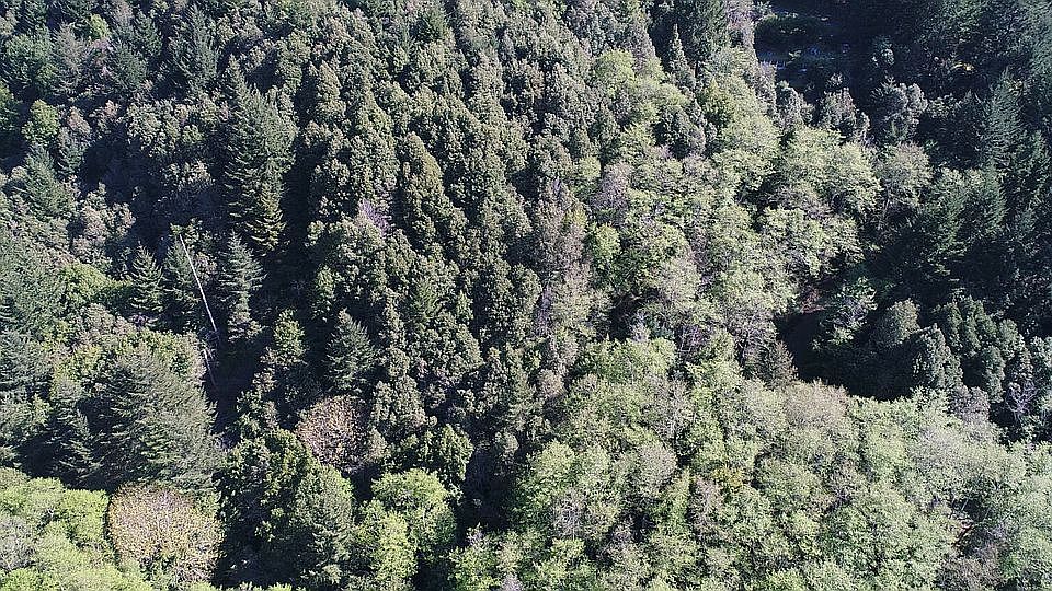 1st image of 69 Cedarwood Ct