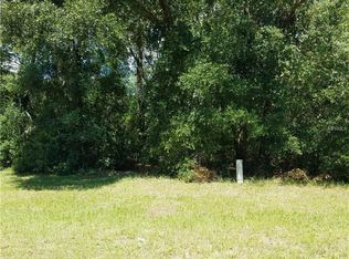 2312 Sunrise Blvd, Mount Dora, FL 32757