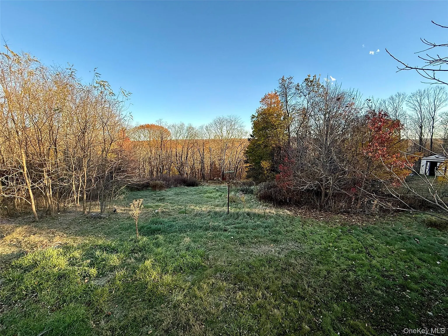 3 bed, $2,600 — Photo 2