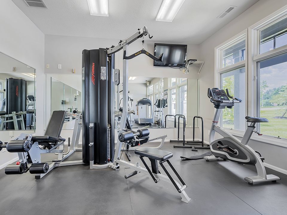 Crush your fitness goals with a full range of equipmenttreadmills, weights, and more