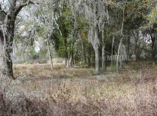 1602 Newberger Rd, Lutz, FL 33549