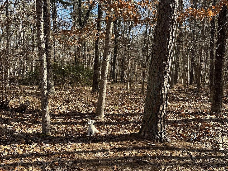 2nd image of 0 Bowman Road
