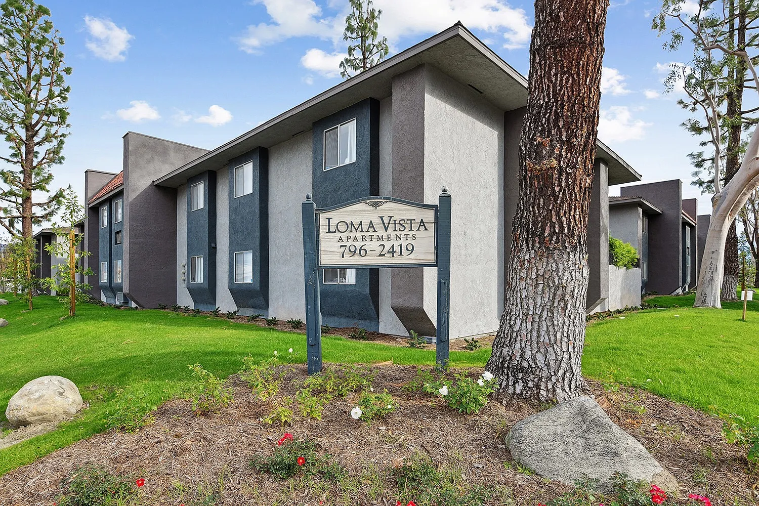 Loma Vista Apartments — Photo 3